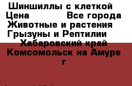 Шиншиллы с клеткой › Цена ­ 8 000 - Все города Животные и растения » Грызуны и Рептилии   . Хабаровский край,Комсомольск-на-Амуре г.